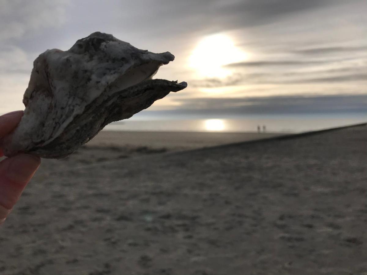 Huus Borkum Lägenhet Exteriör bild
